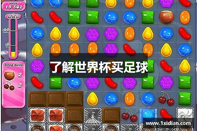 了解世界杯买足球